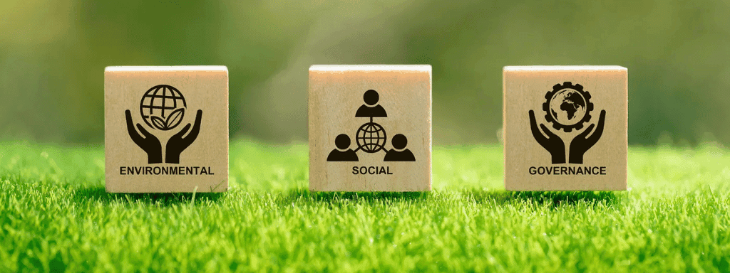 Environmental, Social, and Governance (ESG): Combining Profits and Sustainability in Businesses